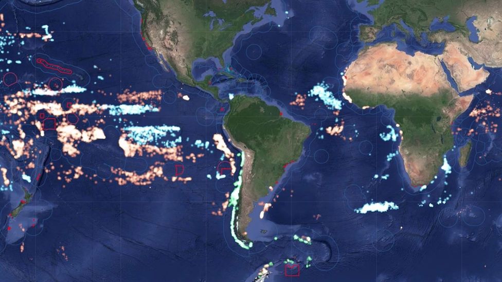 The fishing fleets of three countries: Chile (green), China (orange) and Japan (blue) (Credit: Oceana/Global Fishing Watch) The fishing fleets of three countries: Chile (green), China (orange) and Japan (blue) (Credit: Oceana/Global Fishing Watch)