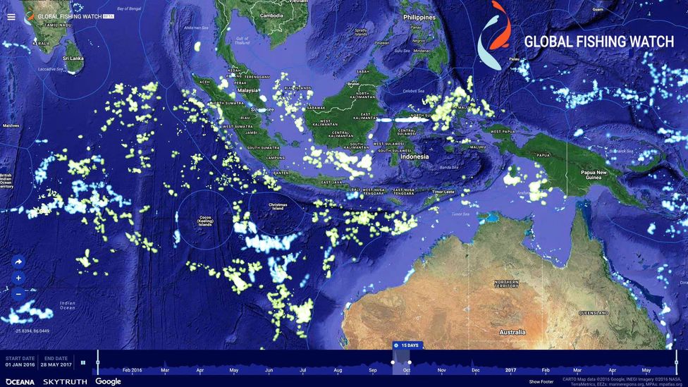 Indonesia recently opened up its private vessel tracking data, shown in green (Credit: Oceana/Global Fishing Watch) Indonesia recently opened up its private vessel tracking data, shown in green (Credit: Oceana/Global Fishing Watch)