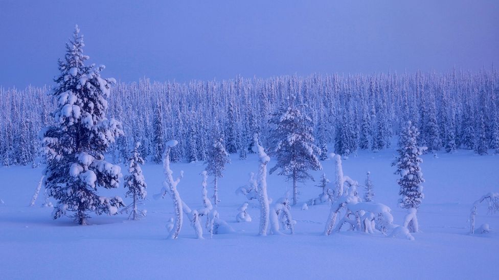 Finland’s long, cold winters can be hard to cope with psychologically (Credit: Henrik Kettunen/Alamy)