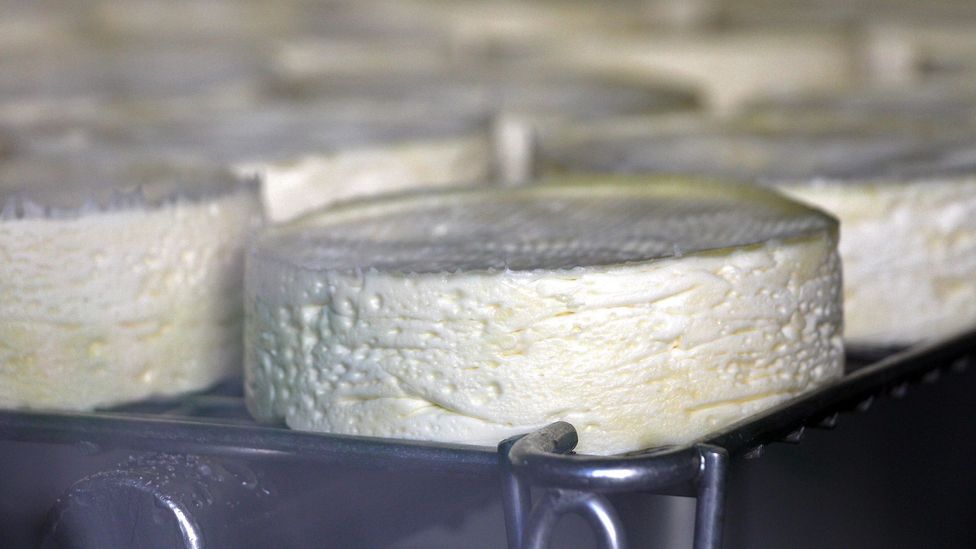 Controversial new AOP regulations will allow camembert to be produced using pasteurised milk (Credit: Emily Monaco)