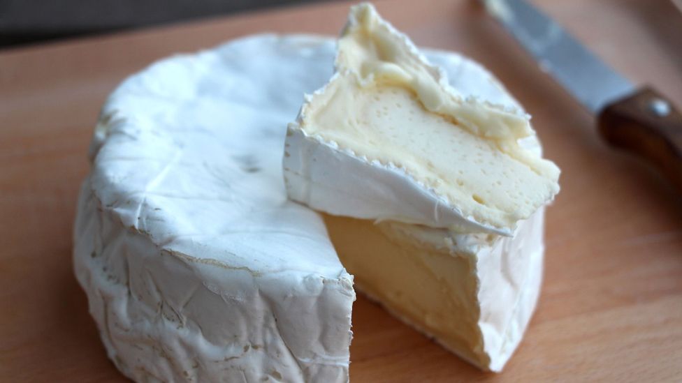 Flavour-wise, camembert exists somewhere between the milder Brie de Meaux and the rich Brie de Melun (Credit: Emily Monaco)