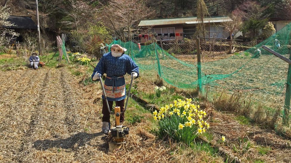 While driving through the heart of Shikoku, Japan, writer Don George came across a village populated with scarecrows (Credit: Don George) While driving through the heart of Shikoku, Japan, writer Don George came across a village populated with scarecrows (Credit: Don George)
