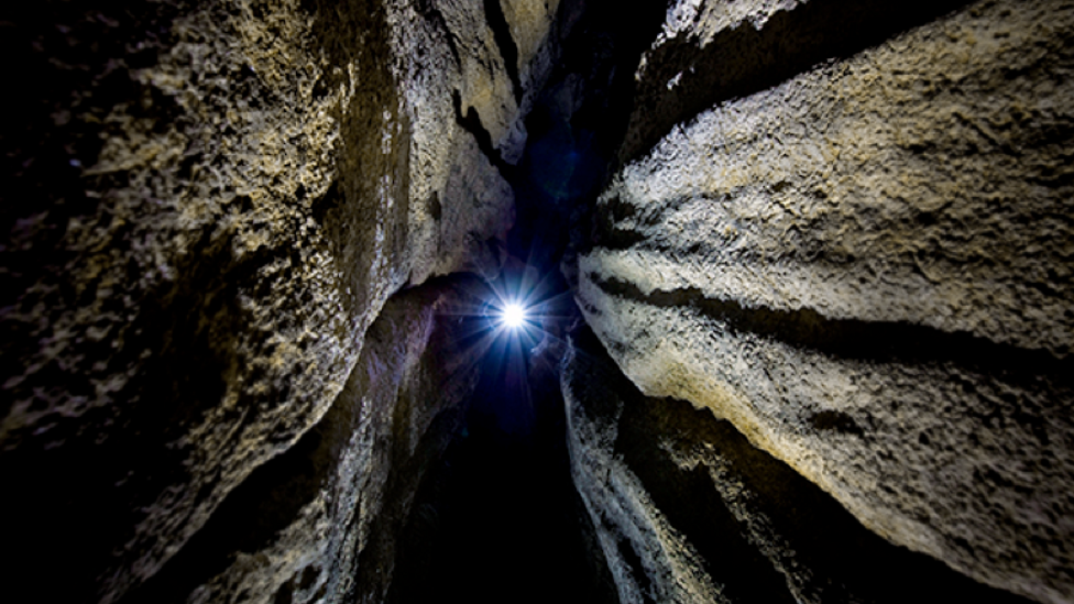 Adding artificial light to the cave will help (Credit: Alamy)