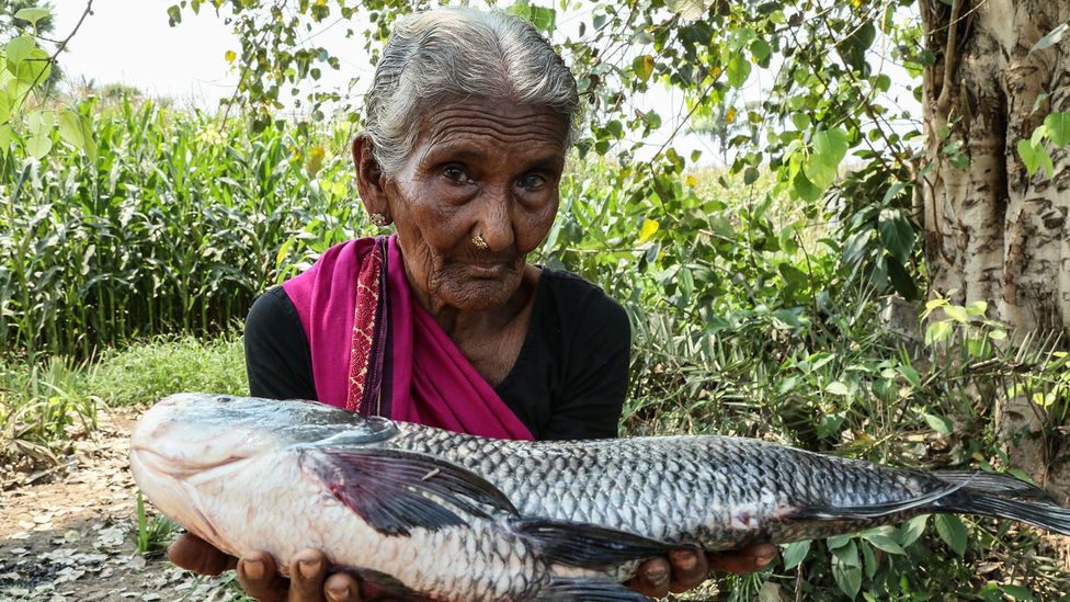 Mastanamma, a great-grandmother aged 107, is a YouTube sensation who teaches her audience to cook (Credit: Getty Images) Mastanamma, a great-grandmother aged 107, is a YouTube sensation who teaches her audience to cook (Credit: Getty Images)