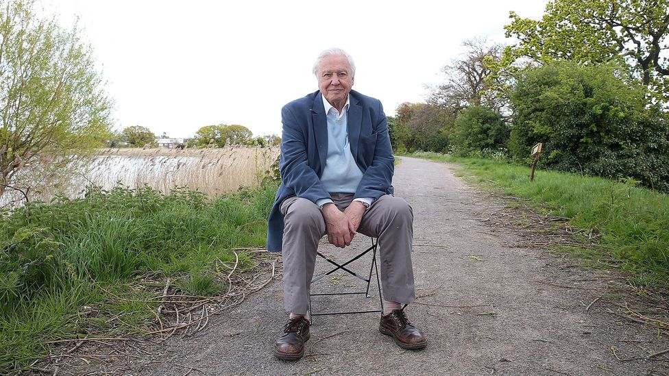 Sir David Attenborough, 92, is reassuringly confident that he’ll make it to 100 – and he has no plans to retire (Credit: Getty Images) Sir David Attenborough, 92, is reassuringly confident that he’ll make it to 100 – and he has no plans to retire (Credit: Getty Images)