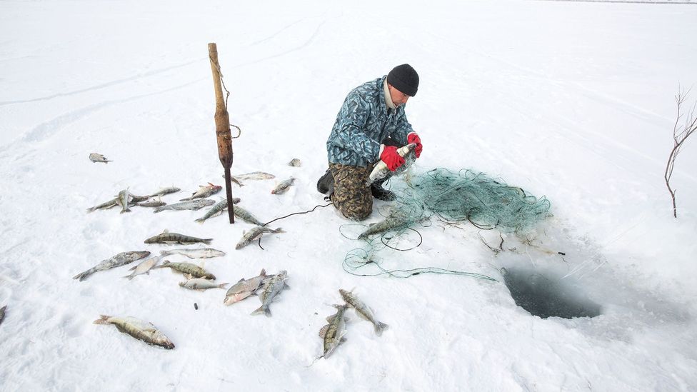 Fishing has returned year-round to the Kazakh side of the Aral Sea, but locals still need to drive 20km to reach the water once on their doorstep (Credit: Taylor Weidman)