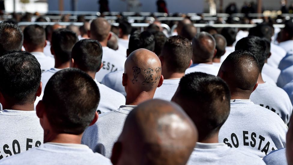 ‘Mass imprisonment has no good data,’ says Gary Slutkin (Credit: Getty Images)