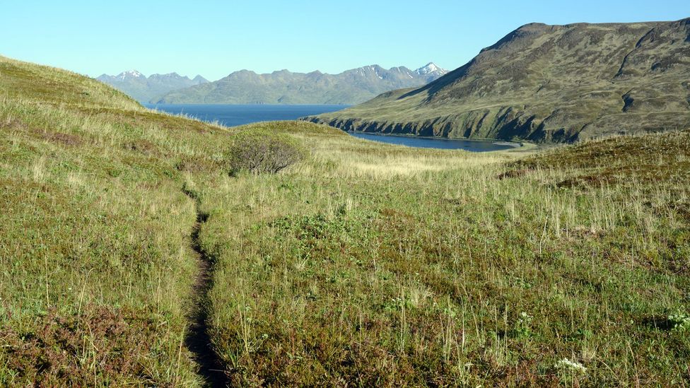 Unalaska’s trails exposes the remote corners of the island