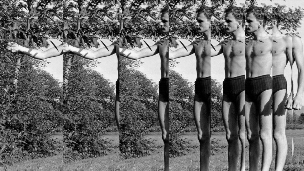 Adam by Edouard Taufenbach – collage of silver print photographs made from Sébastien Lifshitz’s collection (Credit: Edouard Taufenbach/Gallery Binome) Adam by Edouard Taufenbach – collage of silver print photographs made from Sébastien Lifshitz’s collection (Credit: Edouard Taufenbach/Gallery Binome)