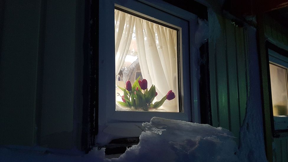 Window with flower (Credit: Sergio Cubillos) Window with flower (Credit: Sergio Cubillos)