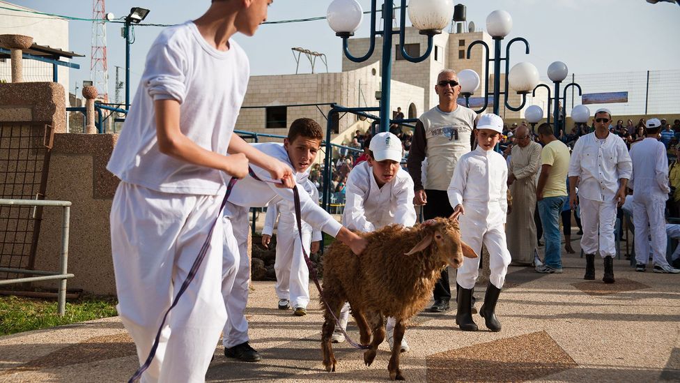 Scholars and tourists come from around the world to witness the Paschal sacrifice, which is performed as it’s described in the Book of Exodus (Credit: Nir Alon/Alamy)