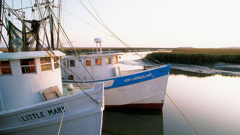 A changing environment has made it difficult for the Gullah Geechee to continue to rely solely on the land for sustenance (Credit: KC Shields/Alamy)
