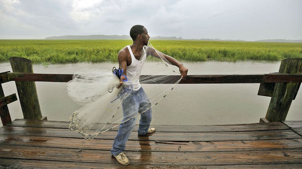 Shellfish is an integral part of Gullah Geechee cuisine, but rising sea levels and salt water erosion are causing the habitat to shift (Credit: ZUMA Press, Inc./Alamy)