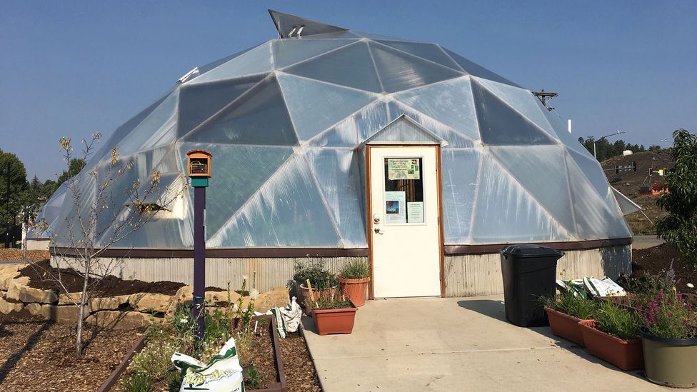 Vegetables grown inside of this greenhouse helped feed local children this summer (Credit: Daliah Singer)