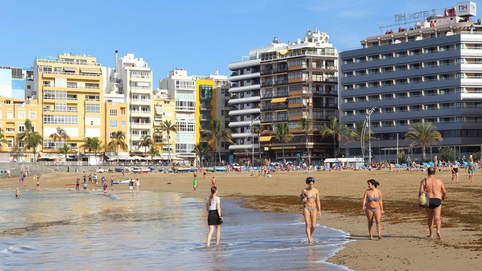 The Canary Islands owe their reputation as a holiday hotspot to Alfred L Jones, a 19th-Century Welsh businessman (Credit: Marek Slusarczyk/Alamy)