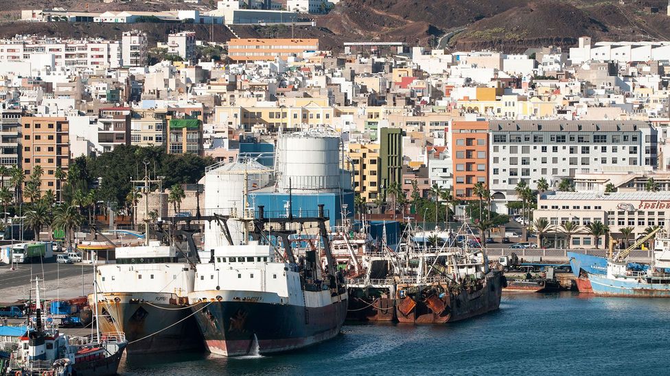 The Canary Islands were strategically important for the British shipping industry as the last fuelling port before the Atlantic crossing (Credit: G.I. Dobner/Alamy)