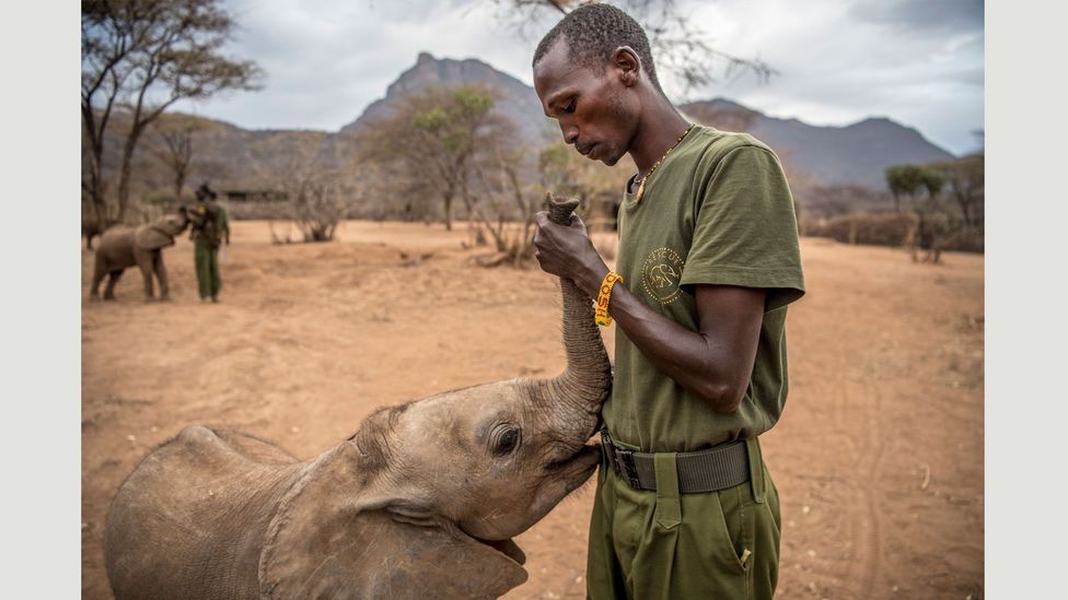 The photos that change lives - BBC Culture