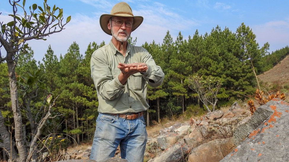 The Barberton-Makhonjwa Geotrail details Earth’s geological evolution The Barberton-Makhonjwa Geotrail details Earth’s geological evolution