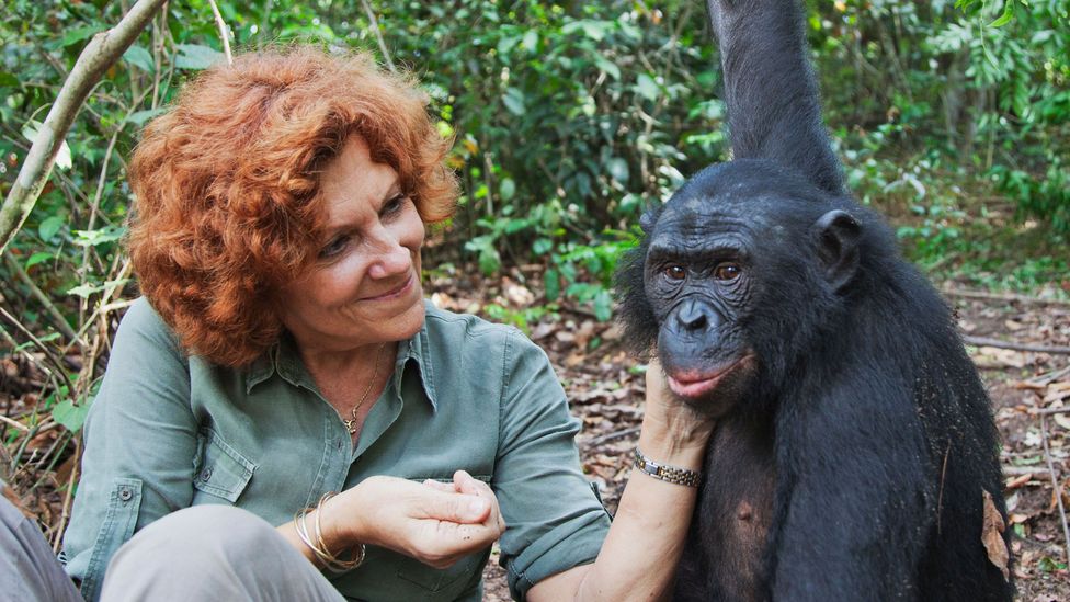 Claudine Andre founder of a sanctuary for bonobos in the Democratic Republic of the Congo (Credit: Alamy)