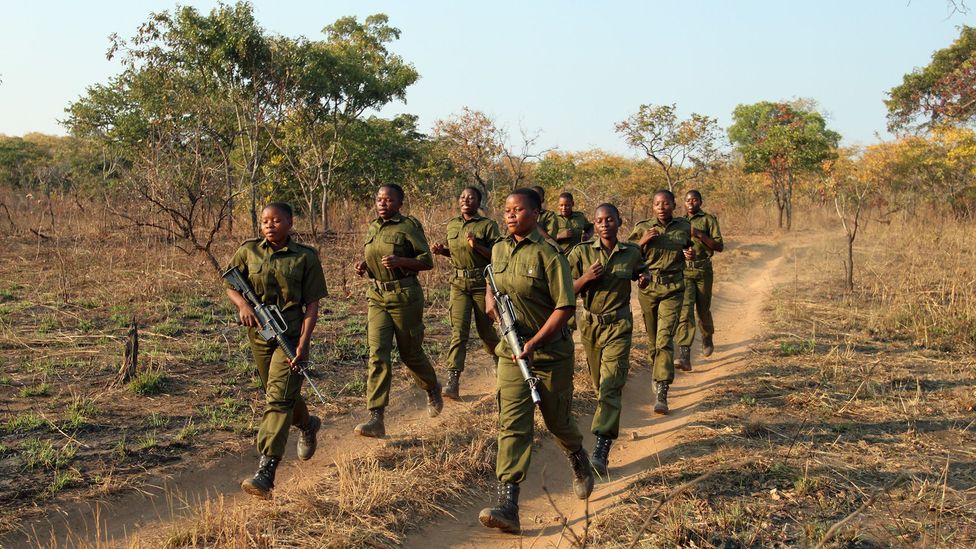 Meet The Brave Ones The Women Saving Africa S Wildlife Bbc Future