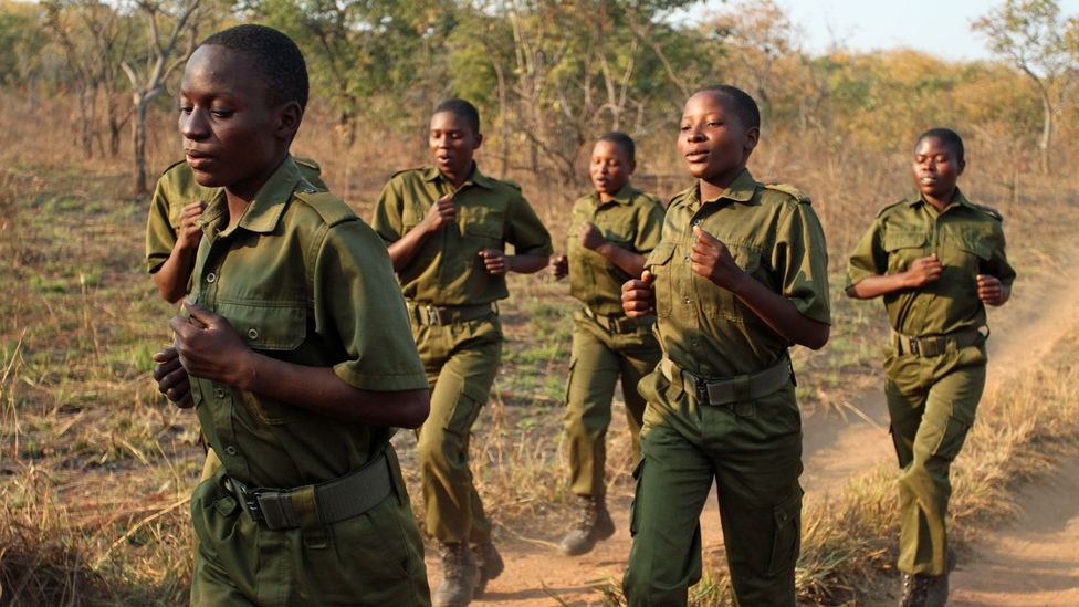 Meet The Brave Ones The Women Saving Africa S Wildlife Bbc Future