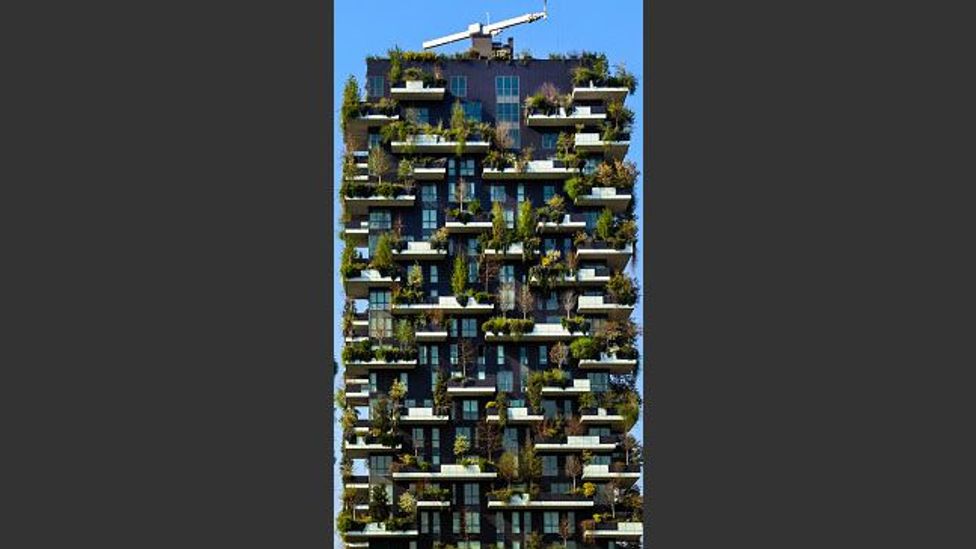 Bosco Verticale a living towerblock in Milan, Italy (Credit: Getty Images) Bosco Verticale a living towerblock in Milan, Italy (Credit: Getty Images)