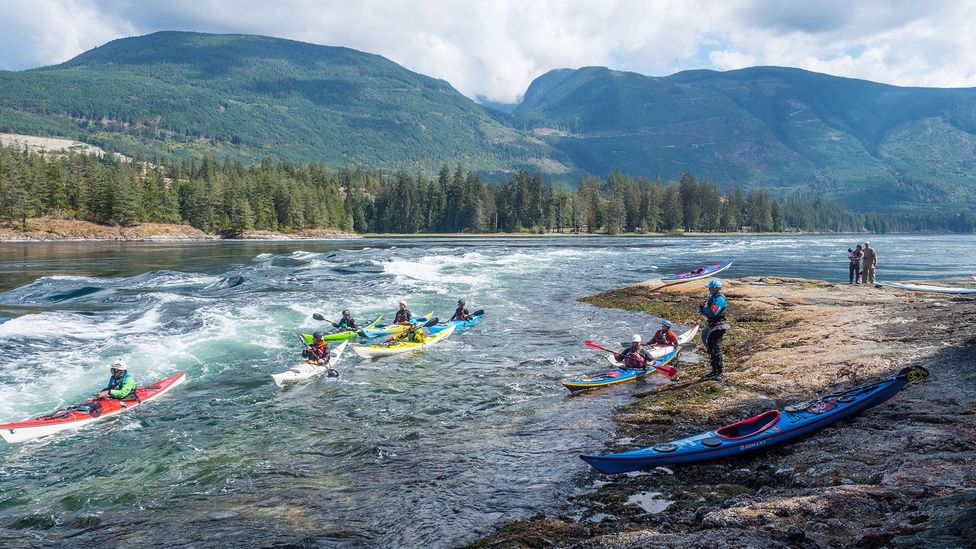 The name of one of Canada’s most famous tidal rapids, Skookumchuck Narrows, was derived from the nearly forgotten Chinook Wawa language (Credit: Diane Selkirk)