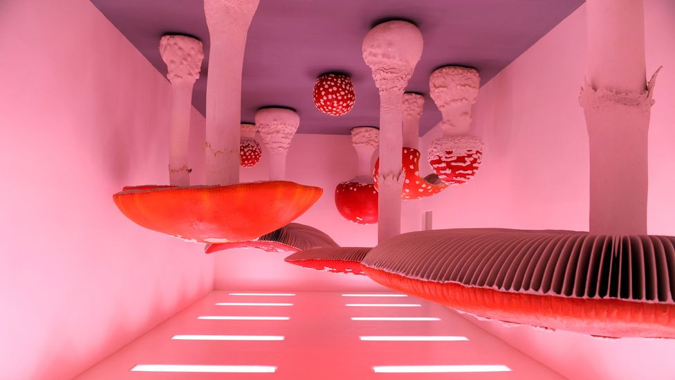 Carsten Holler’s Upside Down Mushroom Room, 2000, has a ceiling hung with agarics (Credit: Getty)