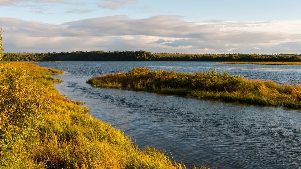 The villages on the Naknek River of Alaska were hard hit by the sudden arrival of the flu (Credit: Getty Images) The villages on the Naknek River of Alaska were hard hit by the sudden arrival of the flu (Credit: Getty Images)