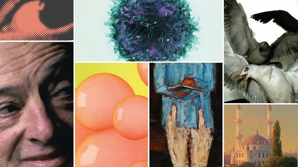 Credit: Various Credit: Various