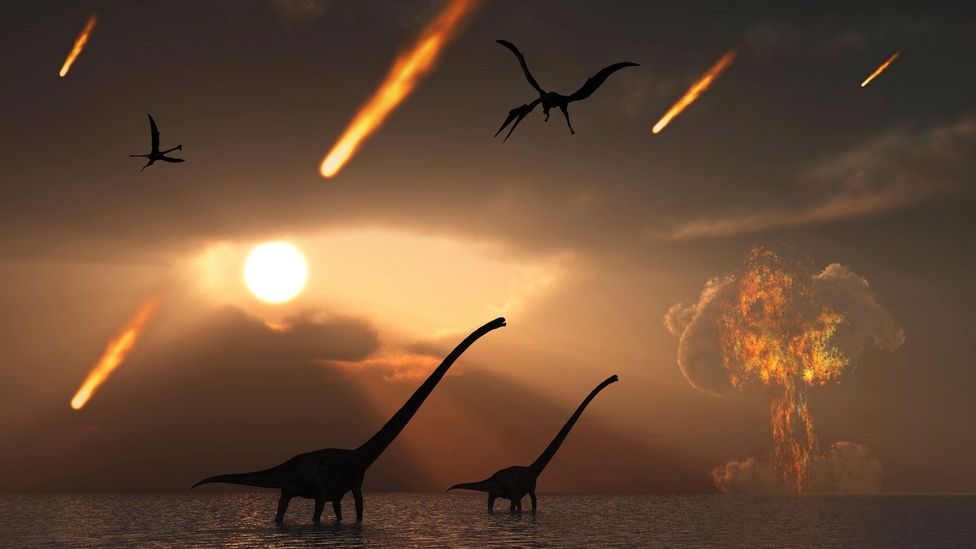 It is believed that the asteroid impact would have wiped out 75% of all life on Earth, including almost all of the dinosaurs (Credit: Science Photo Library/Alamy)