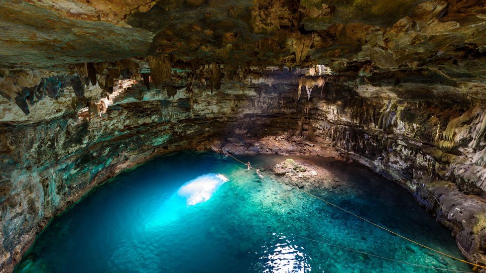 Meksika'nın Yucatan Yarımadası, kurak araziyi noktalayan cenotes, mavi su obruklarıyla ünlüdür \(Kredi: Simon Dannhauer/Alamy\)