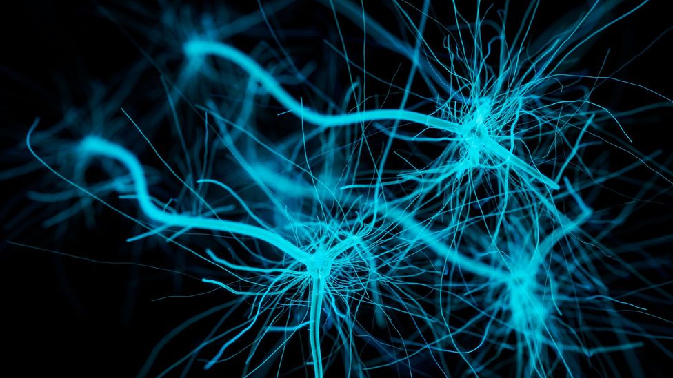 Neural networks are modelled on the structures in the human brain (Credit: Getty Images)