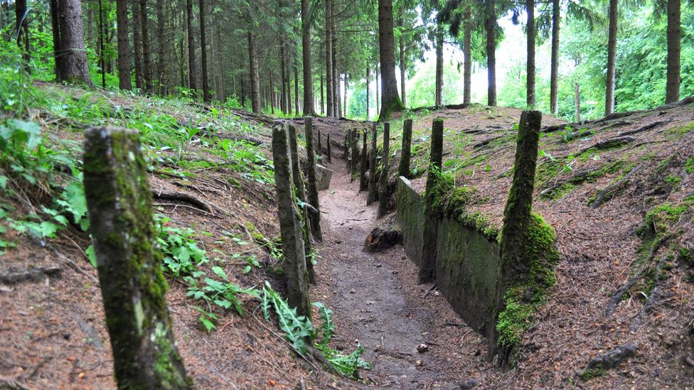 Trails through France’s Red Zone follow the trenches dug by soldiers during World War One’s 300-day Battle of Verdun (Credit: Melissa Banigan)