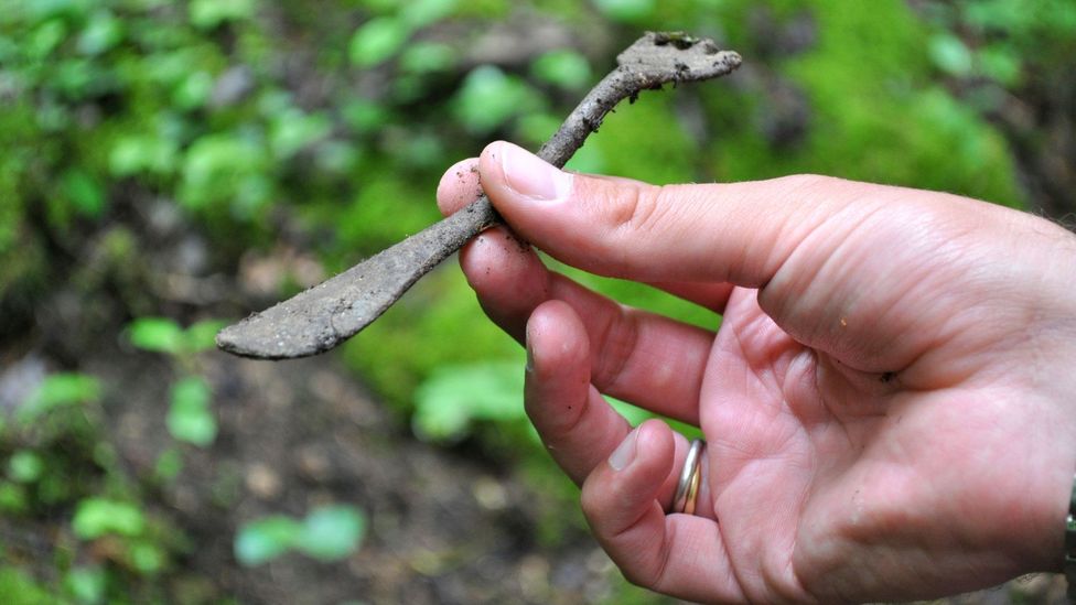 Debris from the Battle of Verdun, including dog tags, shells and silverware, can still be found in the forests of the Red Zone (Credit: Melissa Banigan)
