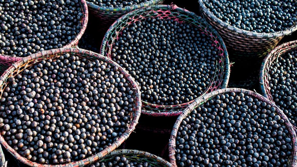 Brazil produces up to 85% of the world’s supply of açaí, more than 1.25 million tonnes per year (Credit: dpa picture alliance/Alamy)