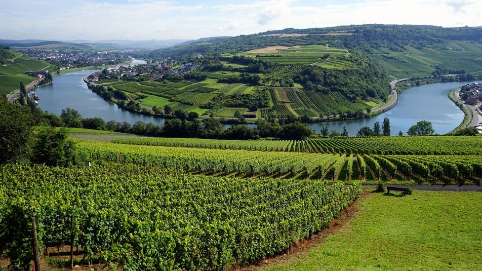 Schengen is located in Luxembourg’s Moselle Valley, home to the country’s flourishing domestic wine industry (Credit: Valerii Shanin/Alamy)