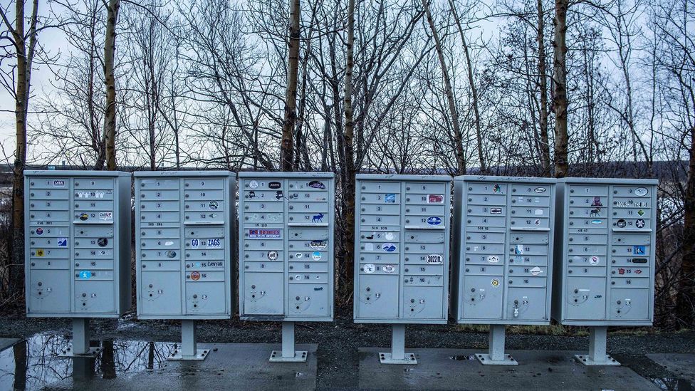 (Credit: Michael Downey)