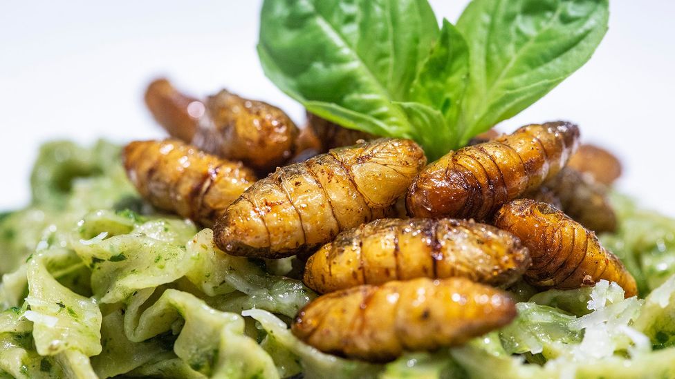 The business of eating bugs - BBC Worklife