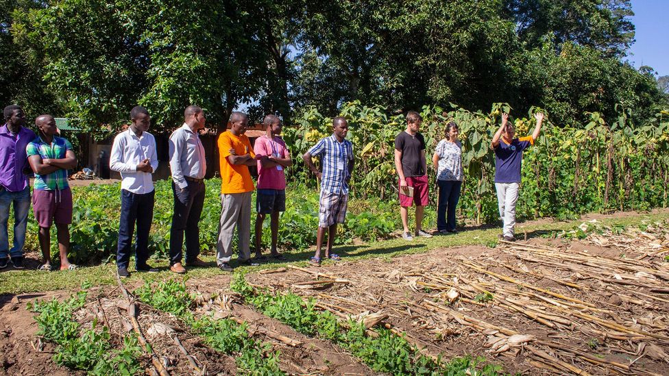 Johann van der Ham leads a group of farmers at the compost workshop in Blantyre (Credit: Sibylle Grunze)