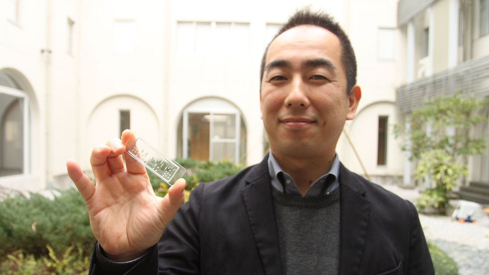 Ken-Ichiro Kamei holding one of his "bodies on a chip" (Credit: Rachel Nuwer)