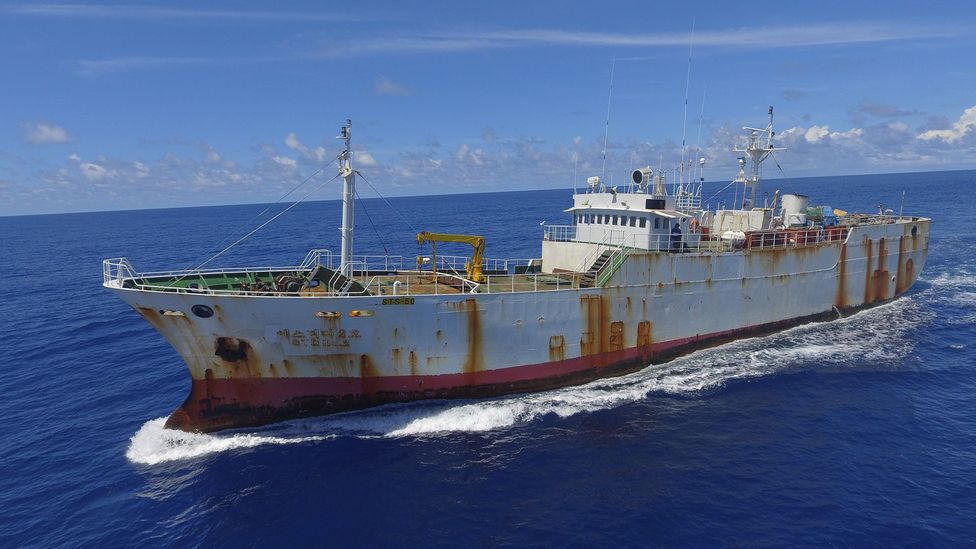 Several kilometres of nets were found on board the Andrey Dolgov when Indonesian authorities boarded it (Credit: Sea Shepherd) Several kilometres of nets were found on board the Andrey Dolgov when Indonesian authorities boarded it (Credit: Sea Shepherd)