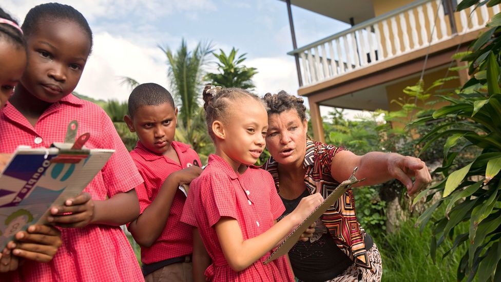 Seychelles schools offer clubs which teach children about sustainability. We're more likely to take climate action if we’re around other people who are (Credit: Creative Commons) Seychelles schools offer clubs which teach children about sustainability. We're more likely to take climate action if we’re around other people who are (Credit: Creative Commons)