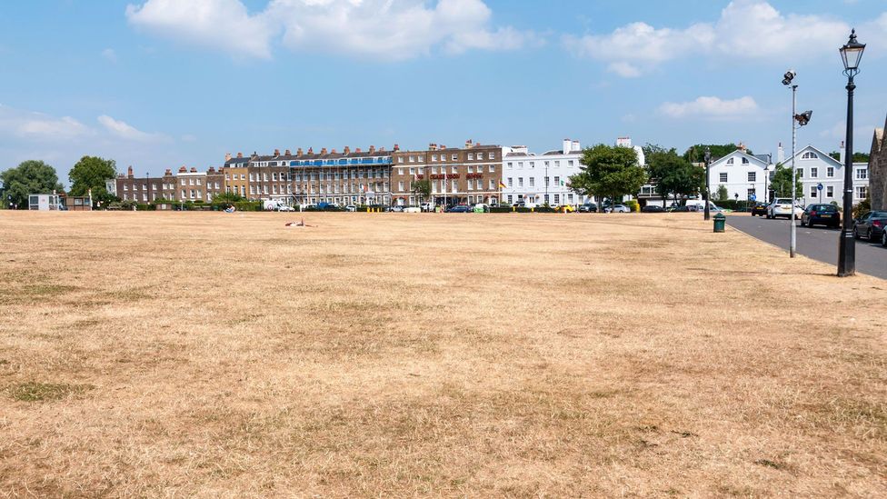 London has suffered a series of serious droughts in recent years (Credit: Alamy) London has suffered a series of serious droughts in recent years (Credit: Alamy)