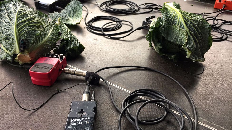 The group uses distortion pedals and microphones "to make the vegetables come alive" (Credit: Eliot Stein) The group uses distortion pedals and microphones "to make the vegetables come alive" (Credit: Eliot Stein)