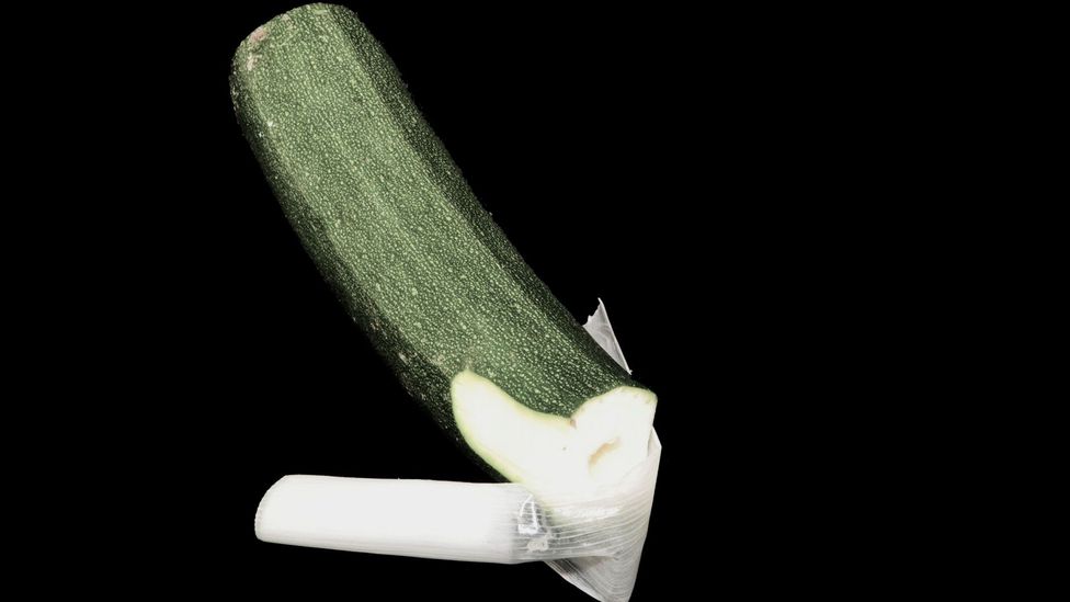 The leek courgette vibrator (Credit: Alexander Koller) The leek courgette vibrator (Credit: Alexander Koller)