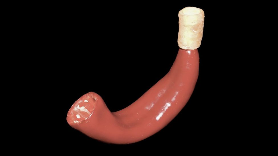 The pepper horn (Credit: Alexander Koller) The pepper horn (Credit: Alexander Koller)