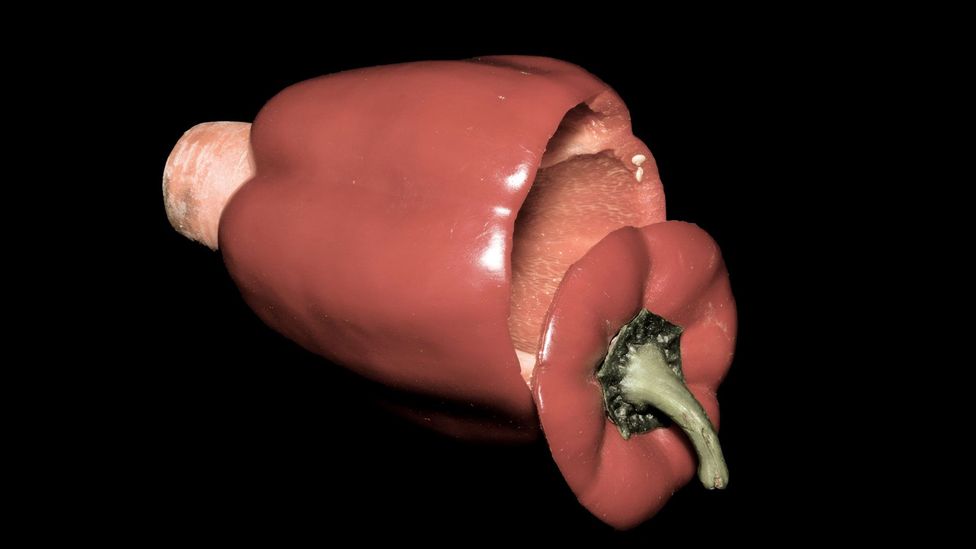 The pepper trumpet (Credit: Alexander Koller) The pepper trumpet (Credit: Alexander Koller)