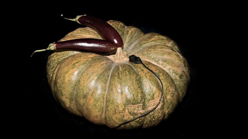 The pumpkin drum (Credit: Alexander Koller) The pumpkin drum (Credit: Alexander Koller)