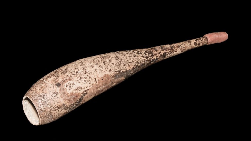 The calabash horn (Credit: Alexander Koller) The calabash horn (Credit: Alexander Koller)